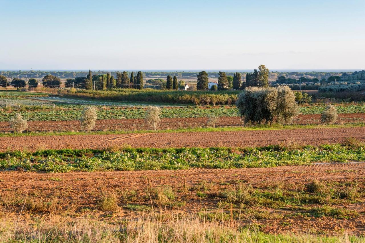 Agriturismo Terre Di Castiglione كاستيغليون ديلا بيسكايا المظهر الخارجي الصورة