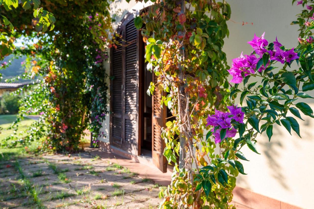 Agriturismo Terre Di Castiglione كاستيغليون ديلا بيسكايا المظهر الخارجي الصورة