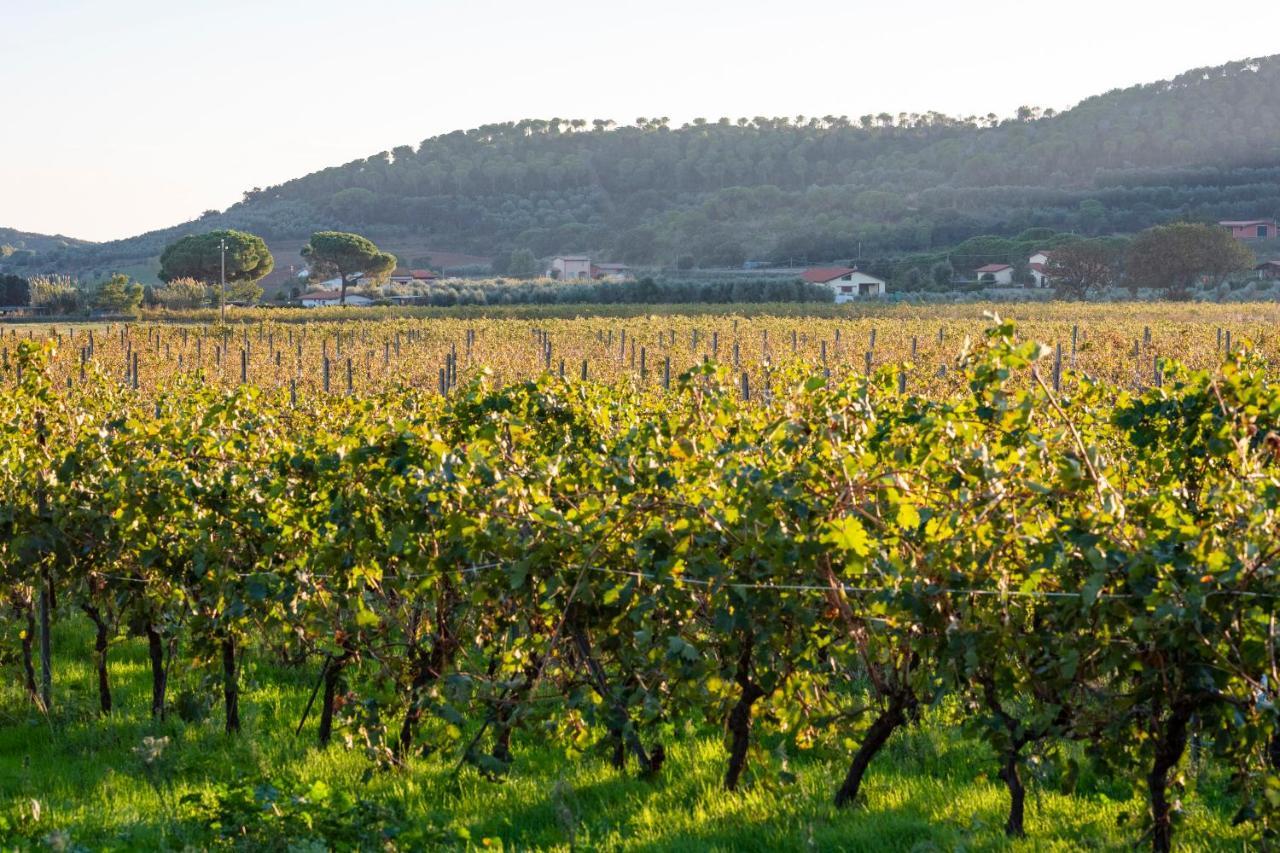 Agriturismo Terre Di Castiglione كاستيغليون ديلا بيسكايا المظهر الخارجي الصورة