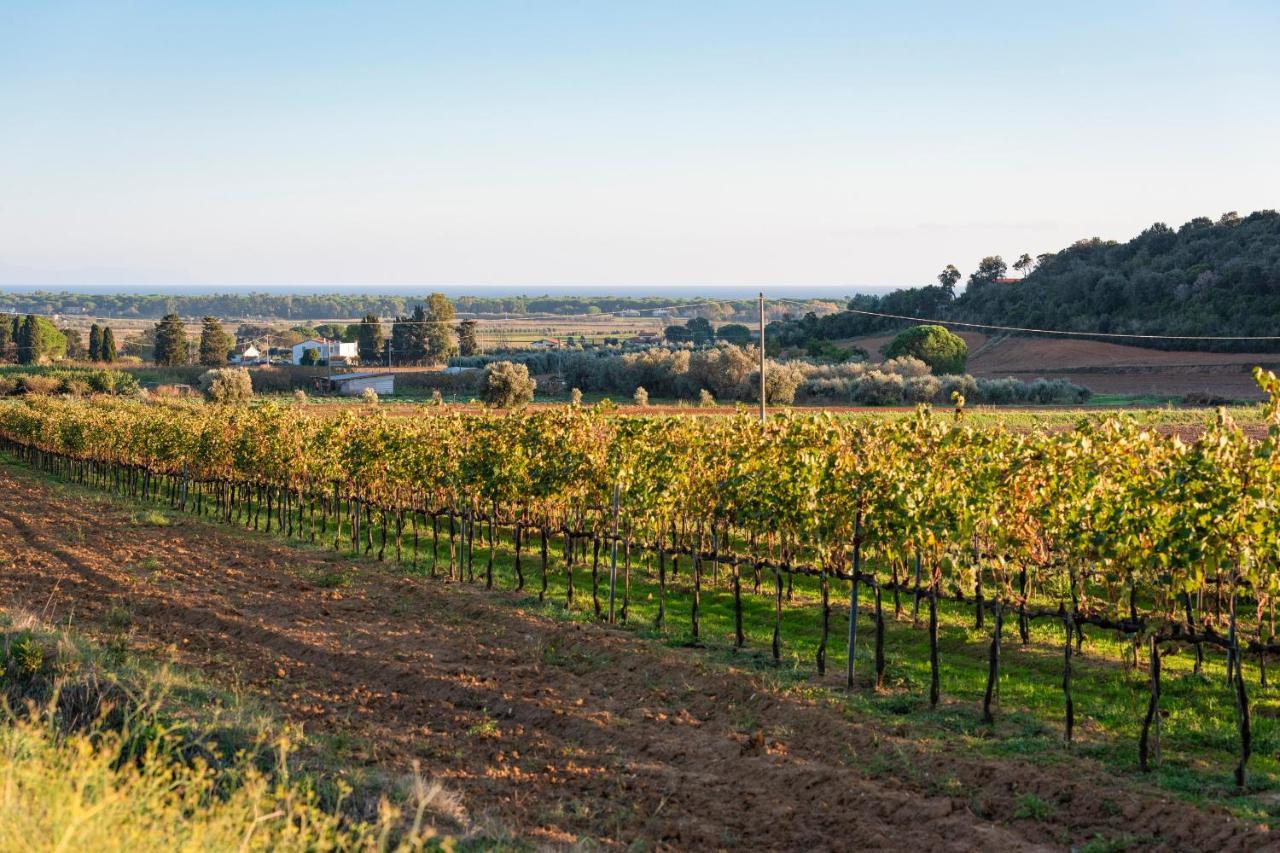 Agriturismo Terre Di Castiglione كاستيغليون ديلا بيسكايا المظهر الخارجي الصورة